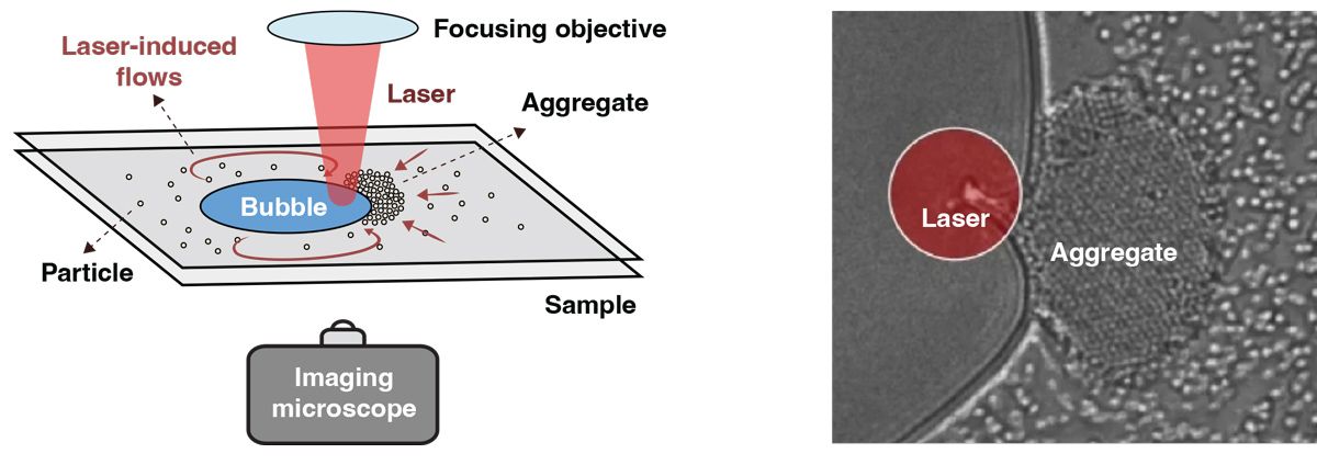 A diagram showing a laser pointed at particles on a platform, causing the particles to aggregate at the edge of the bubble created by the laser.