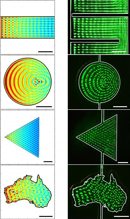 Two columns of four images. First column shows three standard geometric patterns and one irregular pattern shaped like Australia. Second column shows the desired pattern for each shape.