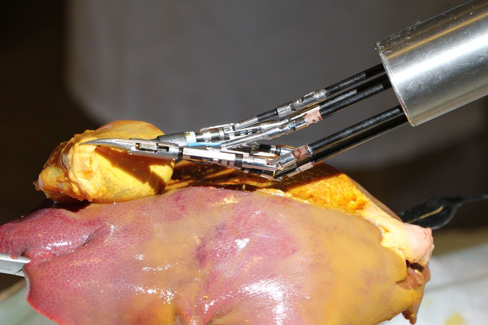 Figure 6. Gall bladder resection in a porcine model using FLEXMIN. (Credit: Carsten Neupert / TU Darmstadt) 