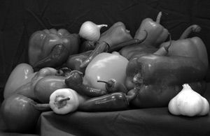 nn09_tips_fig1_w.jpg nn09_tips_fig1_w.jpg