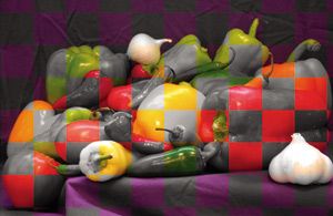 nn09_tips_fig2_w.jpg nn09_tips_fig2_w.jpg