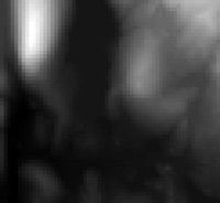 nn09_tips_fig3_w.jpg nn09_tips_fig3_w.jpg