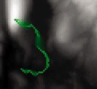 nn09_tips_fig6_w.jpg nn09_tips_fig6_w.jpg