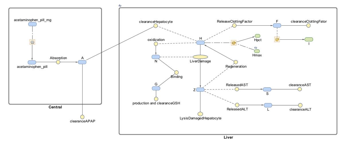 Figure 1. SimBiology model describing oral absorption, metabolism, and toxicity of acetaminophen. 