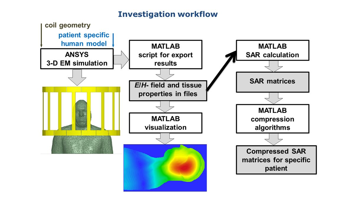 The workflow for calculation of specific absorption rate using virtual human models with MATLAB.