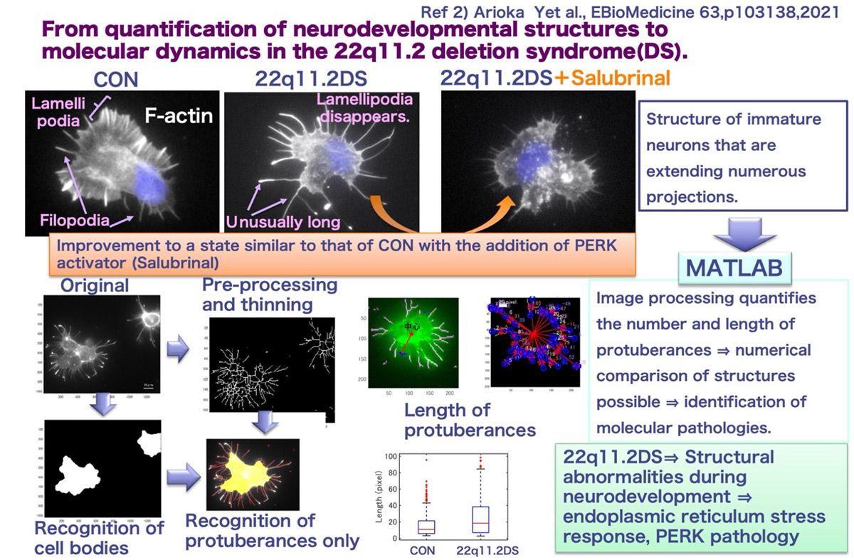 A workflow showing how researchers and medical professionals use MATLAB for data analysis in a medical research application.