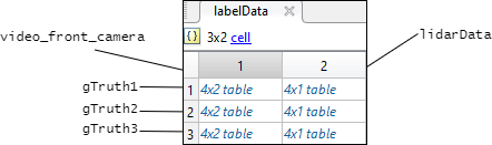 labelData cell array