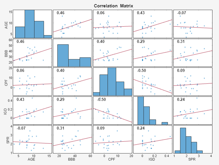 This correlation matrix compares and correlates the Time Series variables SPR, IGD, CPF, BBB, and AGE.