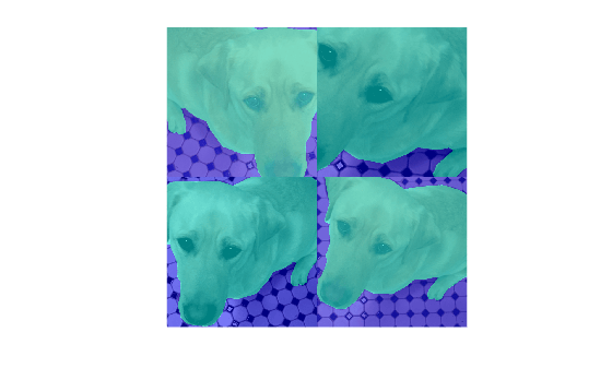 Figure contains an axes object. The hidden axes object contains an object of type image.