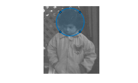 Figure contains an axes object. The hidden axes object contains 2 objects of type image, images.roi.circle.