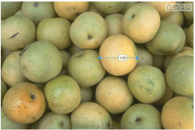 Pears image with a line ROI with a numeric label across one object