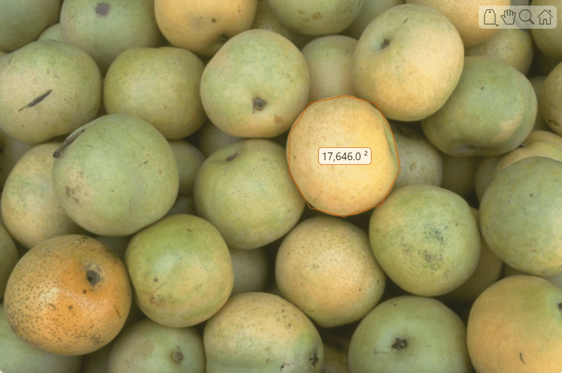 Pears ROI with numeric label around one pear