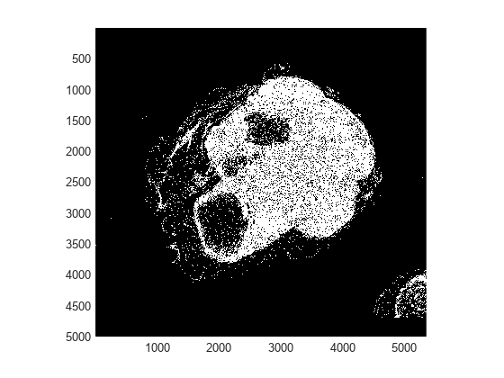 Figure contains an axes object. The axes object contains an object of type bigimageshow.