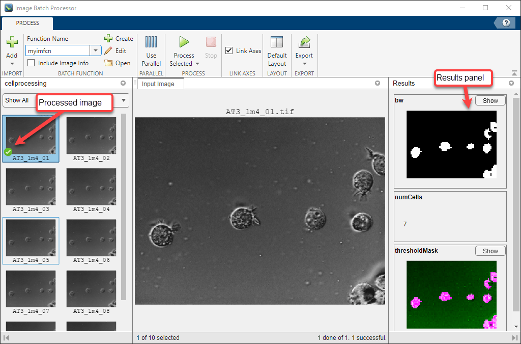 Image Batch Processor window showing the result of processing one selected image