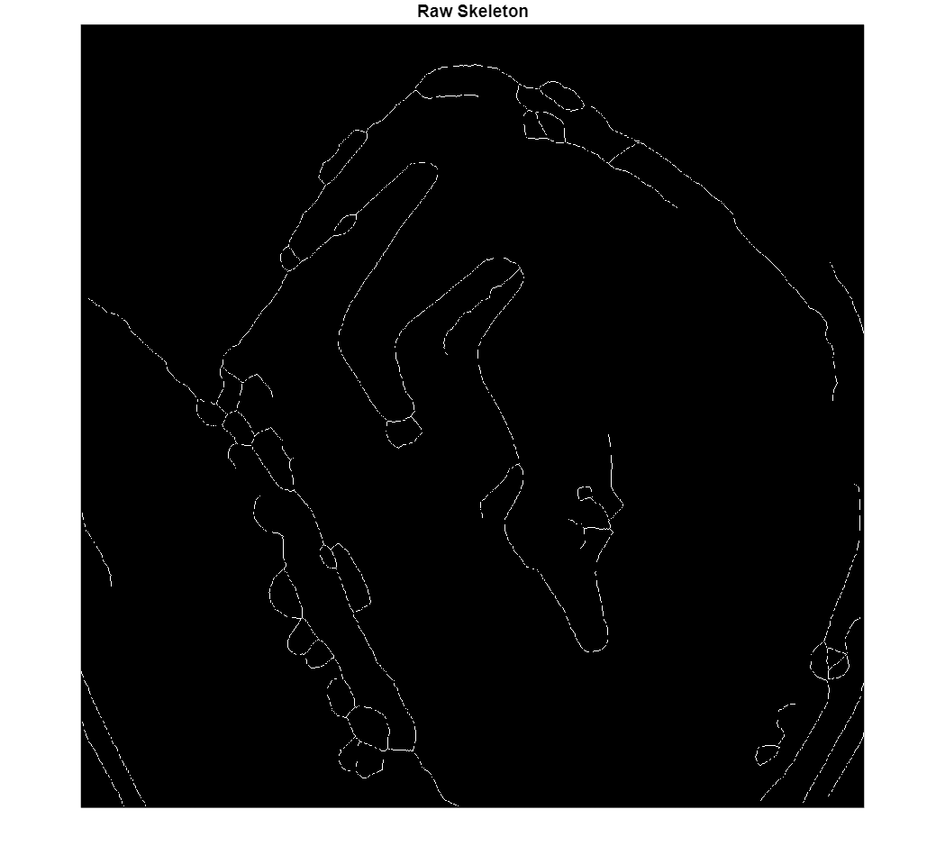 Figure contains an axes object. The hidden axes object with title Raw Skeleton contains an object of type image.