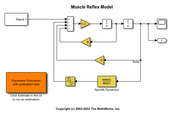 Muscle Reflex Model