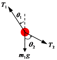 Free-body diagram of the forces that act on the first bob
