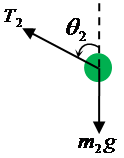 Free-body diagram of the forces that act on the second bob