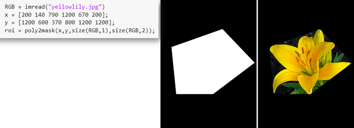 Binary mask created by specifying the (x,y) coordinates of six vertices surrounding the ROI