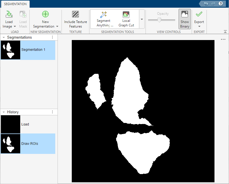 Binary mask created from segmented regions.