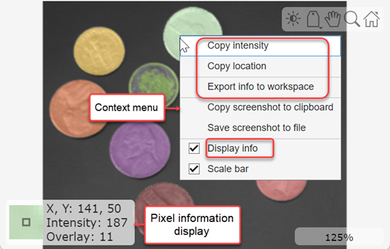 The viewer window, showing the pixel information display with a zoomed in view of the pixel beneath the mouse cursor, and context menu options
