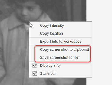 The viewer window, showing context menu options for copying or saving screenshots