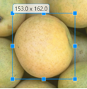 Blue Rectangle ROI encompassing an object in an image.