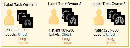 Each labeler is assigned a subset of images and the complete set of label definitions.