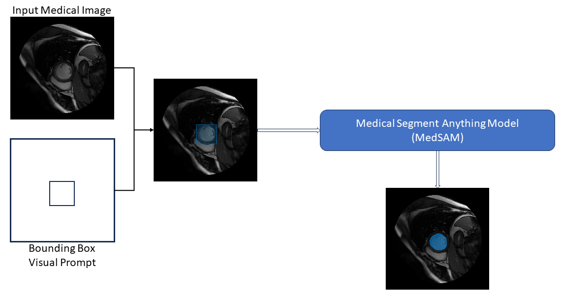 MedSAM Workflow