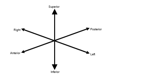 Patient anatomical axes