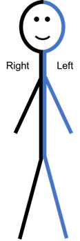 Sagittal plane segments