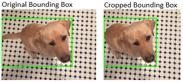 The original image with a bounding box is on the left, and the cropped image with corresponding cropped bounding box is on the right.