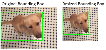 The original image with a bounding box is on the left, and the resized image and corresponding resized bounding box is on the right.