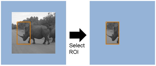 Specified region of the input frame returned as a pixel stream with pixels outside of the region marked as inactive.