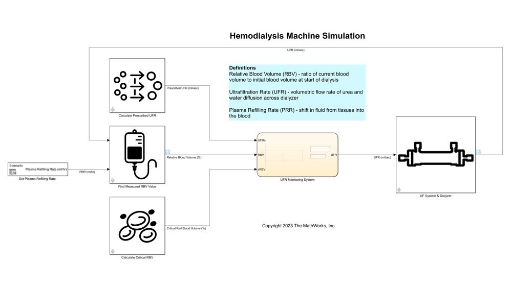 In silico medicine example model of a dialysis machine and a kidney.